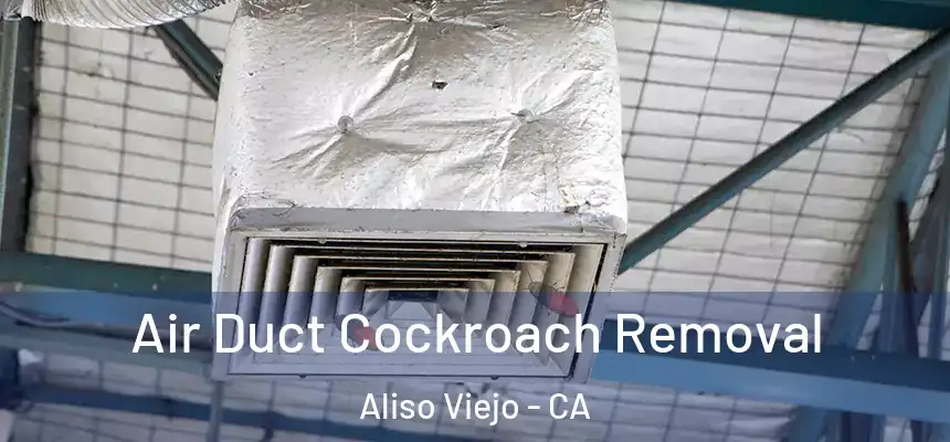 Air Duct Cockroach Removal Aliso Viejo - CA