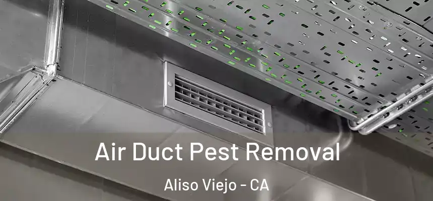  Air Duct Pest Removal Aliso Viejo - CA