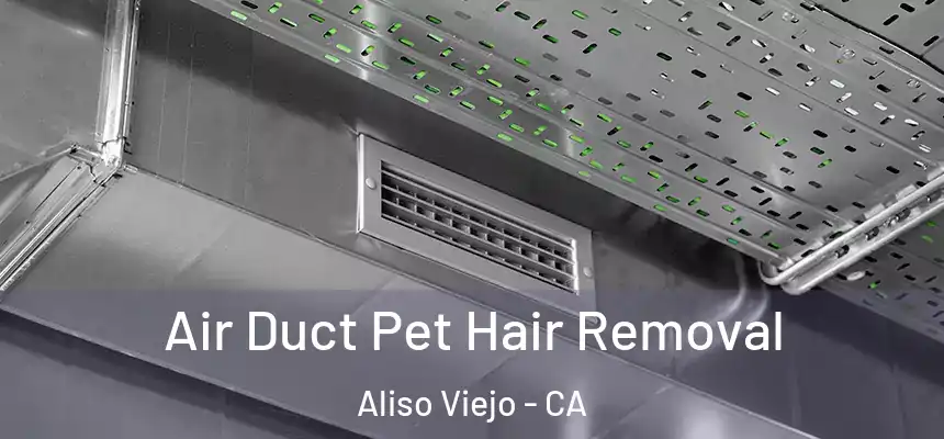  Air Duct Pet Hair Removal Aliso Viejo - CA