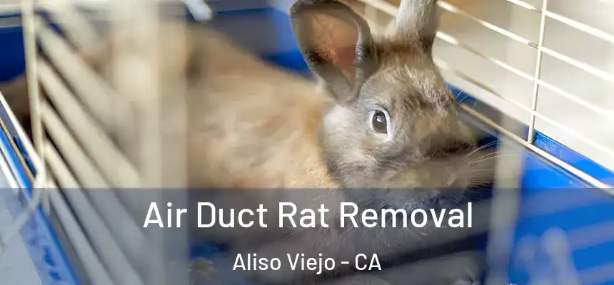  Air Duct Rat Removal Aliso Viejo - CA