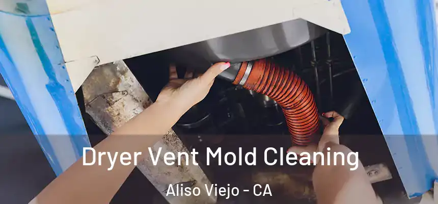 Dryer Vent Mold Cleaning Aliso Viejo - CA