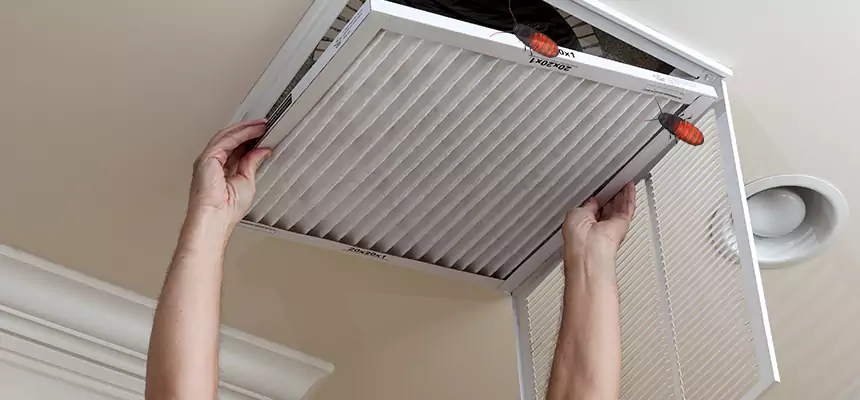 Our Insect Removal from Air Ducts Services in Aliso Viejo, CA