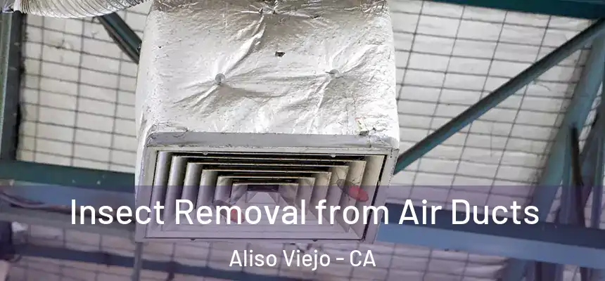 Insect Removal from Air Ducts Aliso Viejo - CA