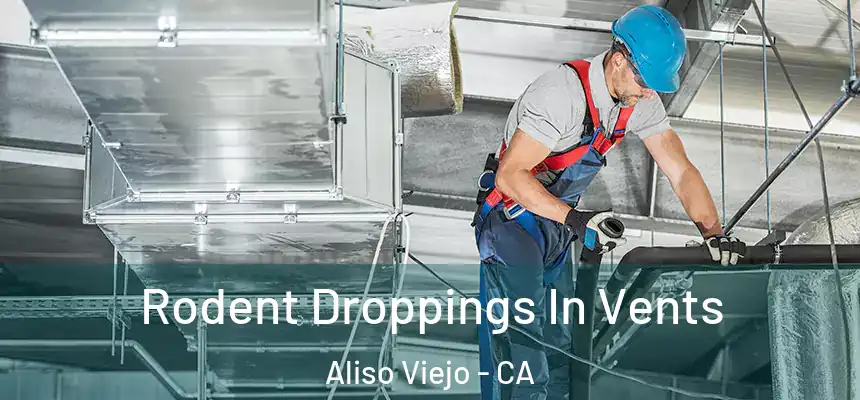  Rodent Droppings In Vents Aliso Viejo - CA