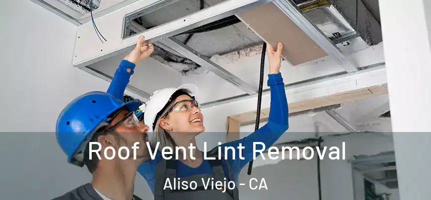  Roof Vent Lint Removal Aliso Viejo - CA