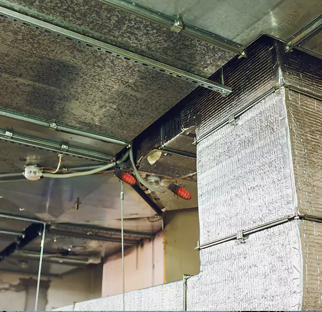 Why Homeowners & Businesses Trust Us in Aliso Viejo, CA?