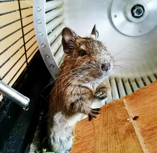 Why Homeowners & Businesses Trust Us Aliso Viejo, CA?