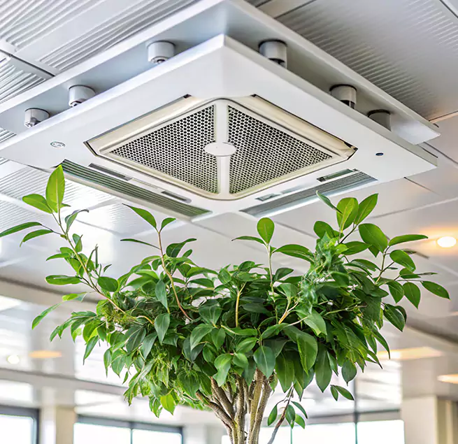 Why Homeowners & Businesses Trust Us in Aliso Viejo, CA?